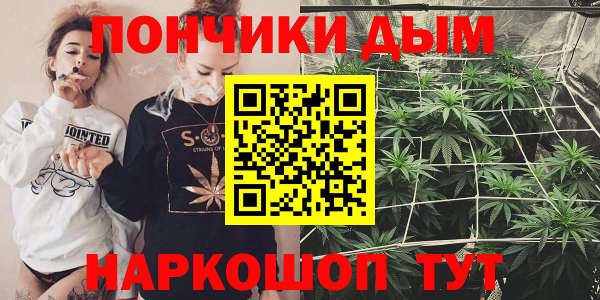 Шадринск  Канабис гибрид  Канабис Bruce Banner  Вход с VPN 